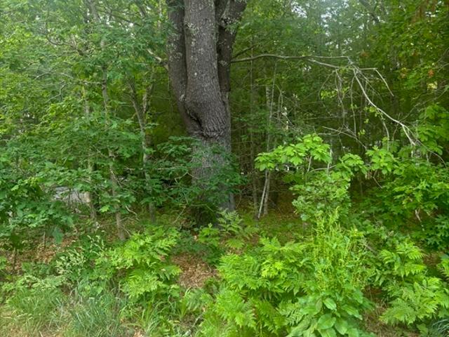 Land for sale in Mashpee
