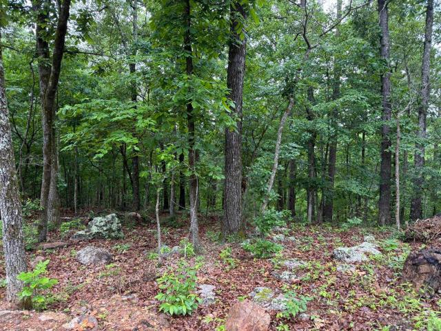 Land for sale in Ark