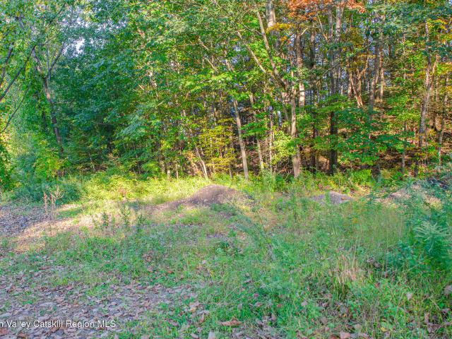 Land for sale in Bloomington, New York