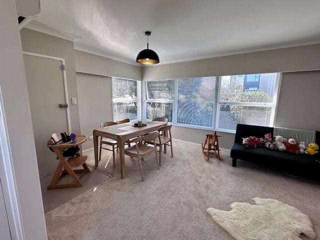 Apartment for rent in Takapuna