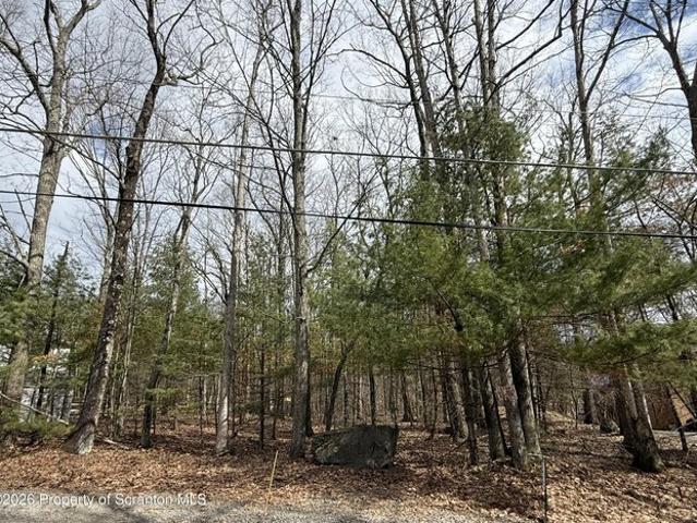 Land for sale in Greentown, Pennsylvania