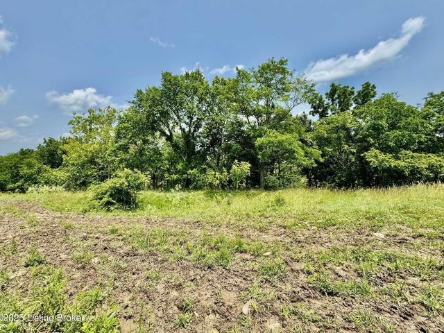 Land for sale in Willisburg, Kentucky