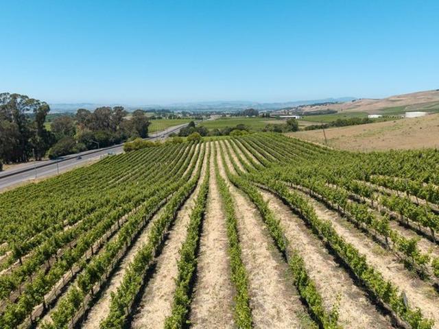 Land for sale in Napa, California