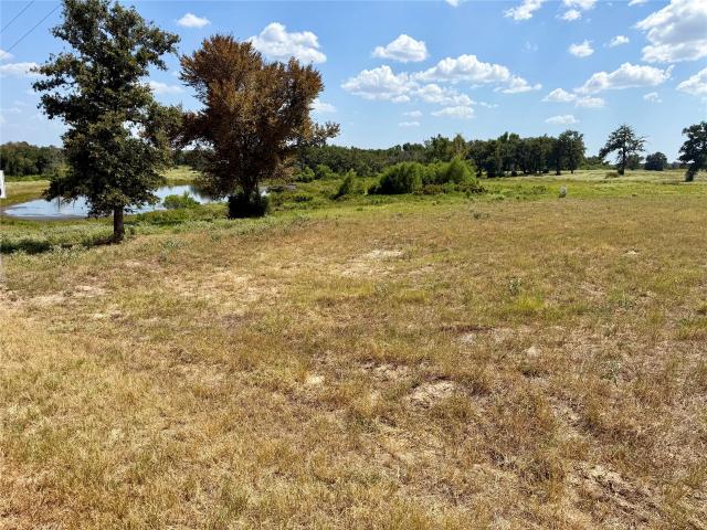 Land for sale in Leon, Texas
