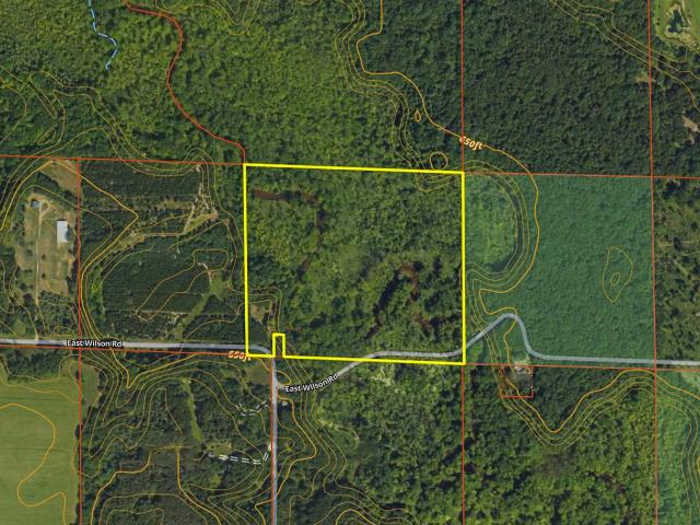 Land for sale in Michigan