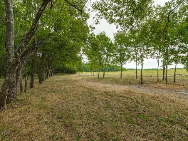 Land for sale in Fannin, Texas
