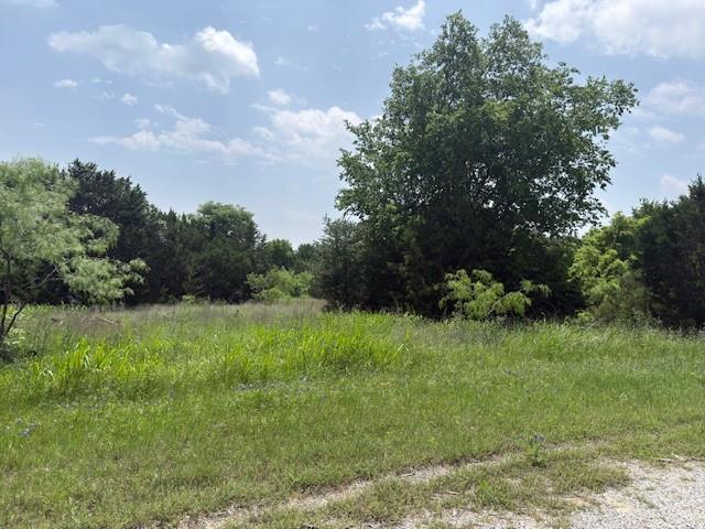 Land for sale in Whitney, Texas
