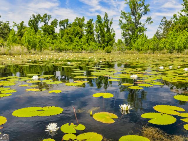 Land for sale in Lowndes, Georgia