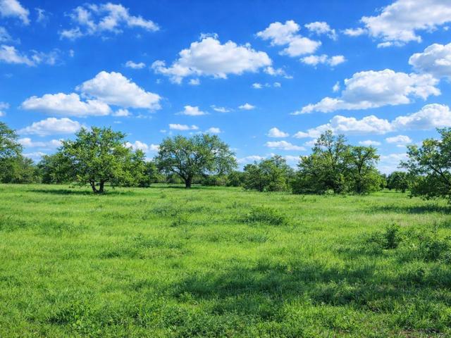 Land for sale in Marble Falls, Texas