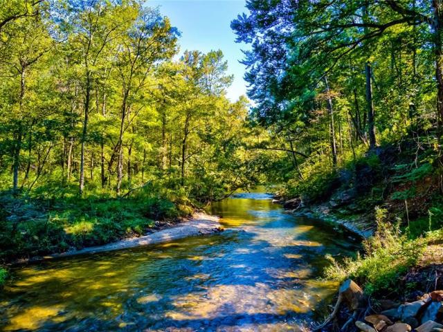 House for sale in Pickens, Georgia