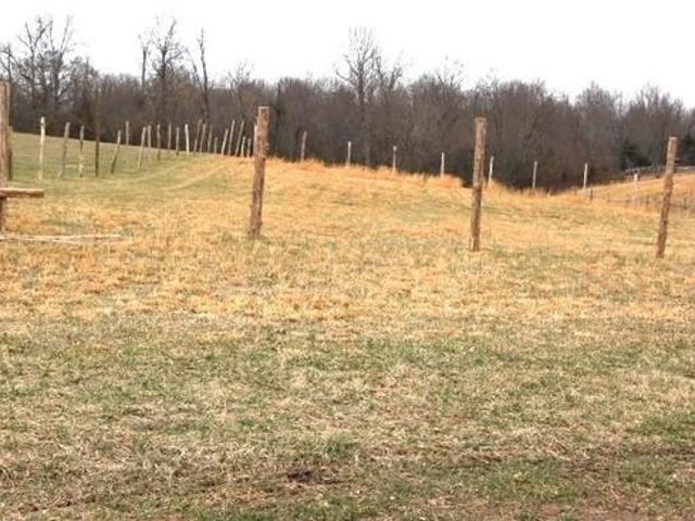 Land for sale in Adolphus, Kentucky