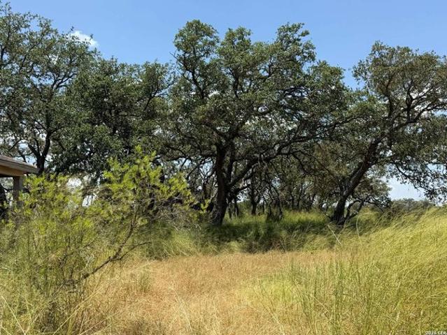 House for sale in Medina, Texas