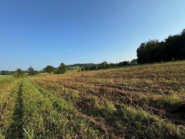 Land for sale in Cave City, Kentucky