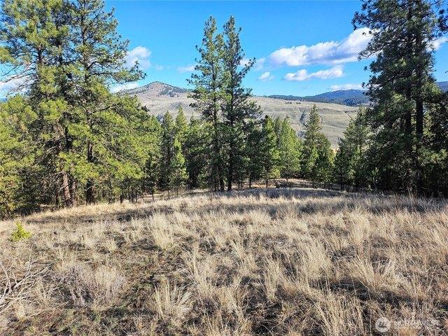 Land for sale in Tonasket, Okanogan County