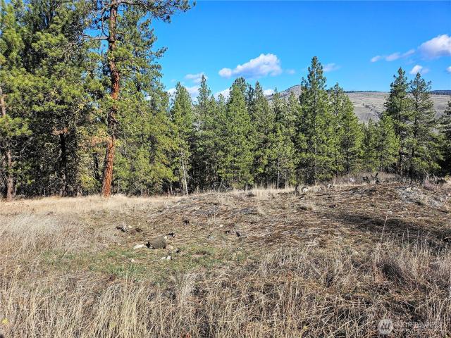Land for sale in Tonasket, Washington