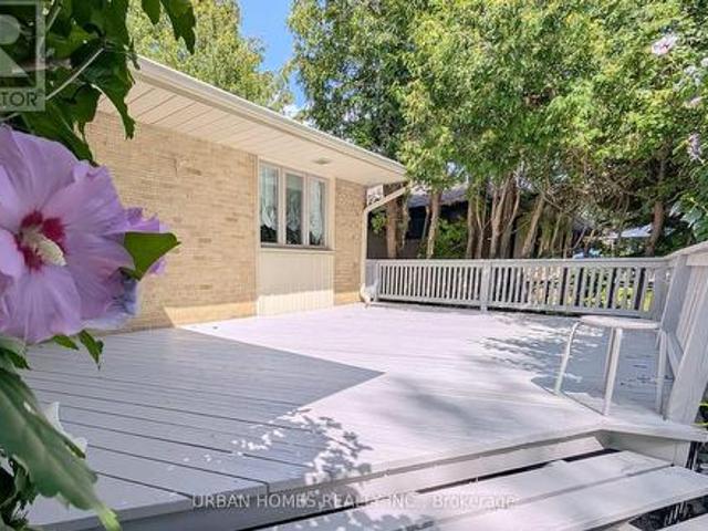 House for rent in York, Ontario
