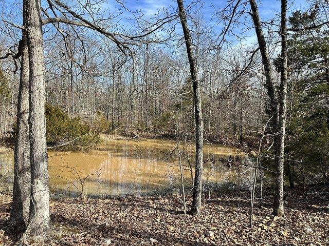 Land for sale in Ark