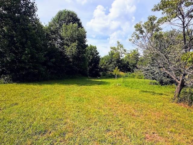 Land for sale in Haralson, Georgia