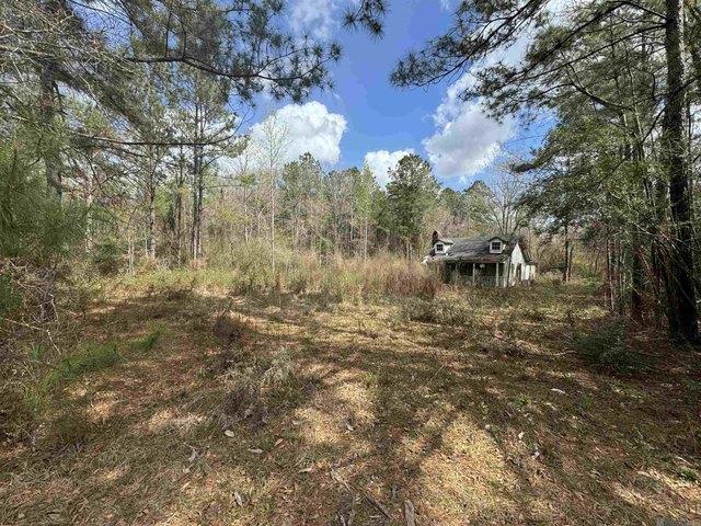 Land for sale in Amite City, Tangipahoa Parish