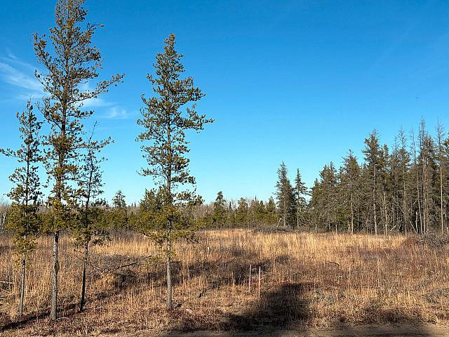 Land for sale in Alexander, Manitoba