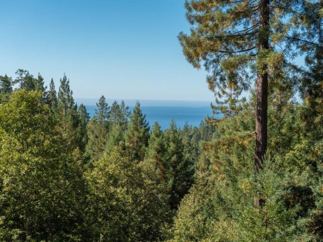 House for sale in Gualala, California