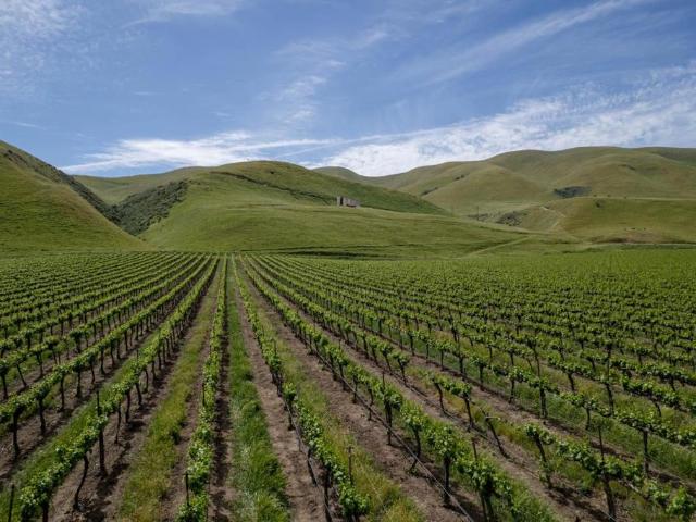 Commercial for sale in Greenfield, California