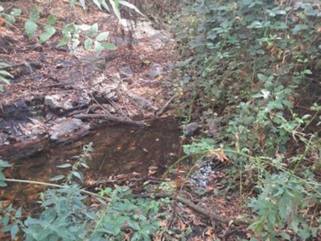 Land for sale in Squaw Valley, California