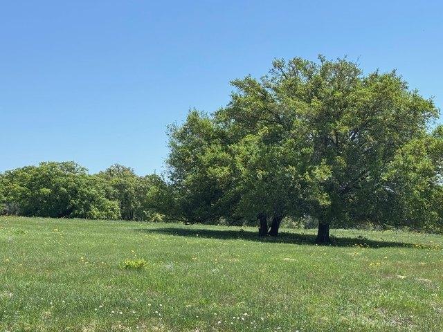 Farm for sale in Muldoon, Texas