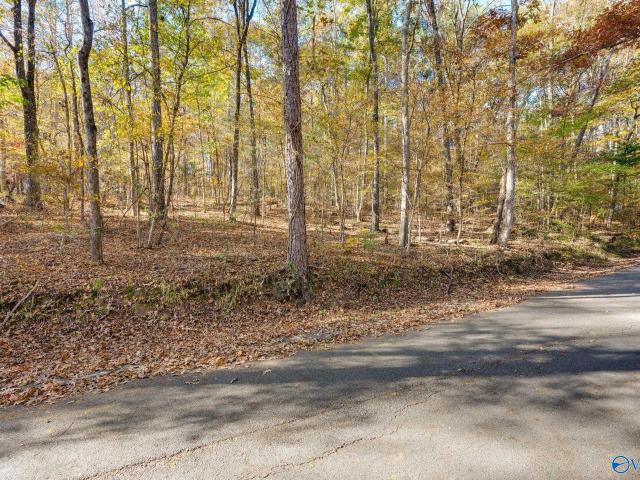 Land for sale in Decatur, Alabama