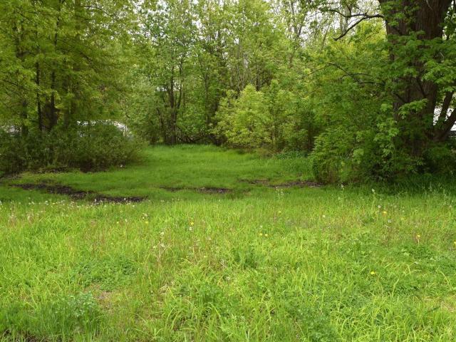 Land for sale in Fair Haven, Michigan