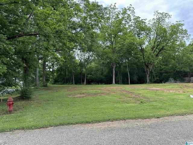 Land for sale in Wadley, Alabama