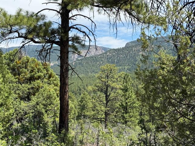 Land for sale in Chama, New Mexico
