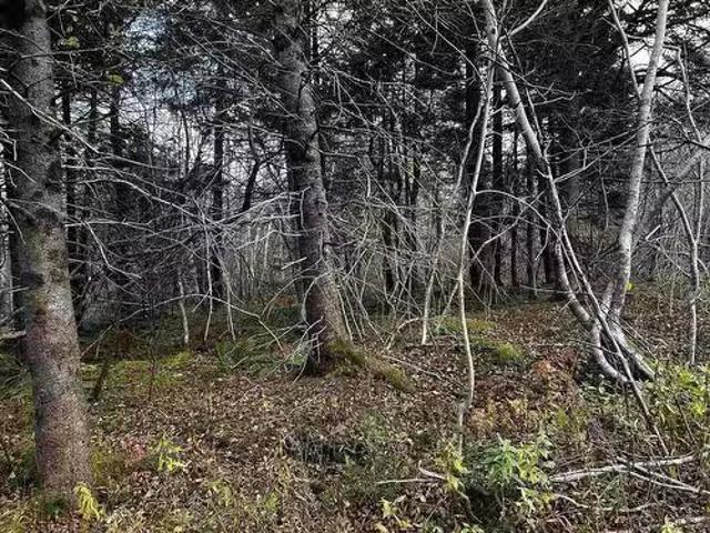 House for sale in Marshalltown, Nova Scotia