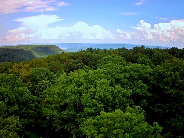Land for sale in Tennessee