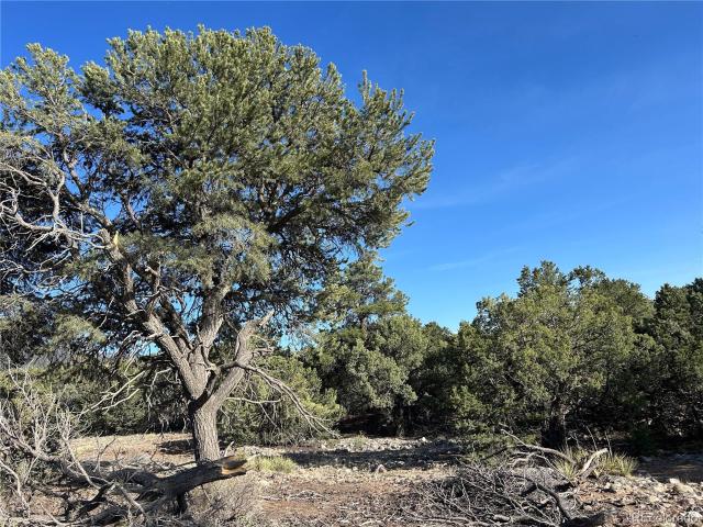 Land for sale in Crestone, Colorado