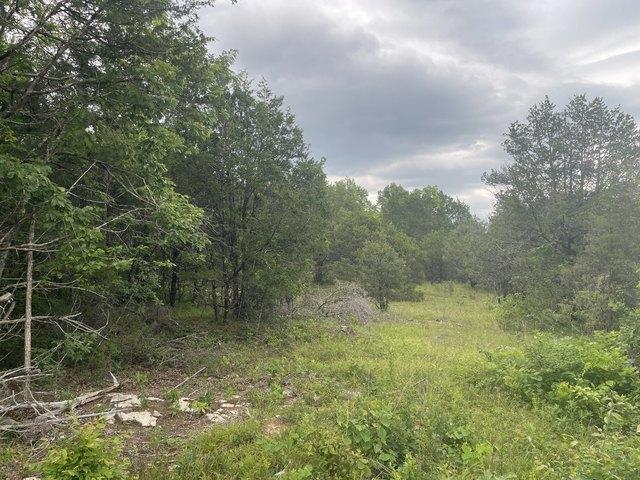 Land for sale in Tennessee