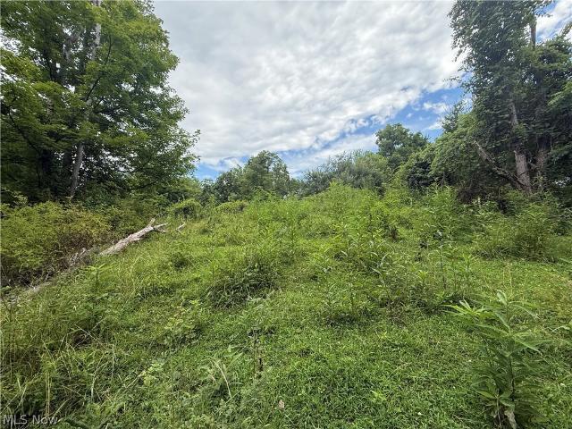 Land for sale in Alabama Hill, Corning