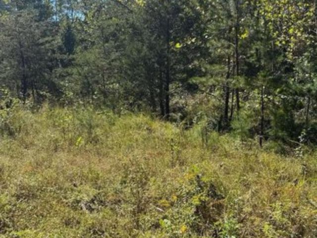 Land for sale in West Liberty, Morgan County