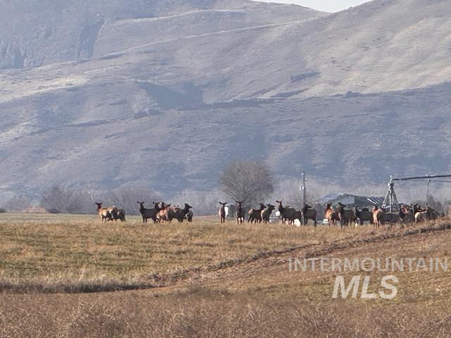 Land for sale in Gem, Idaho