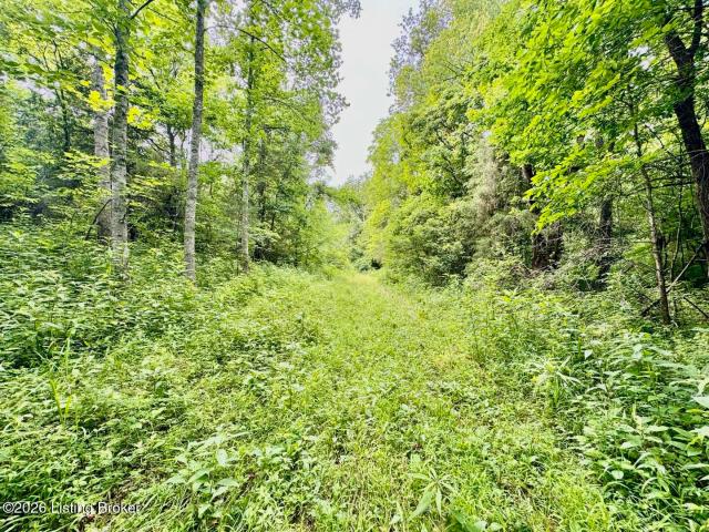 Land for sale in Willisburg, Kentucky