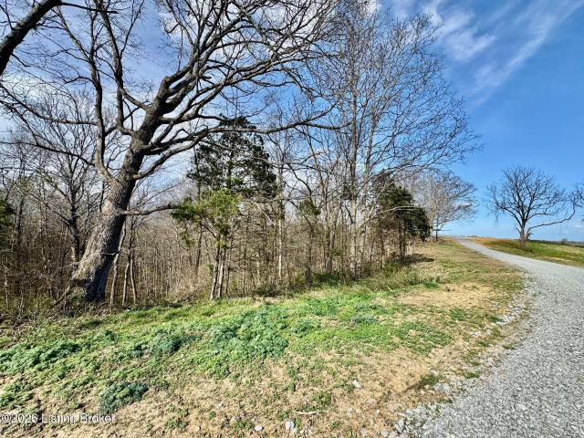 Land for sale in Willisburg, Kentucky