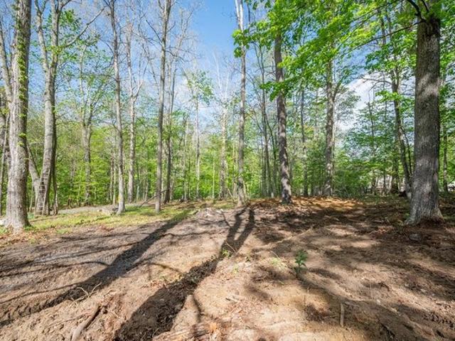 Land for sale in Virginia