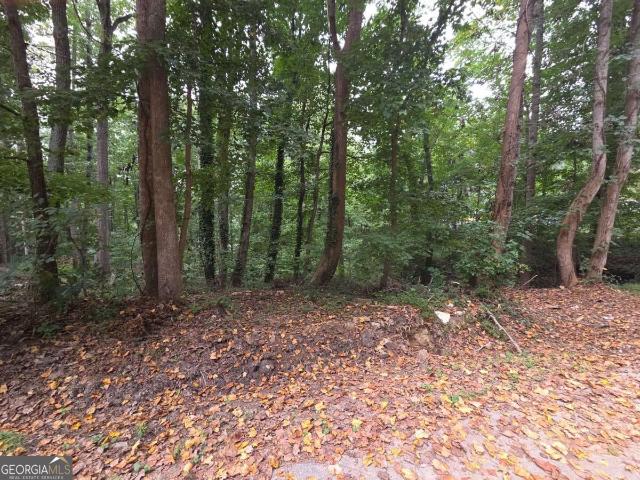 Land for sale in Oakwood, Georgia