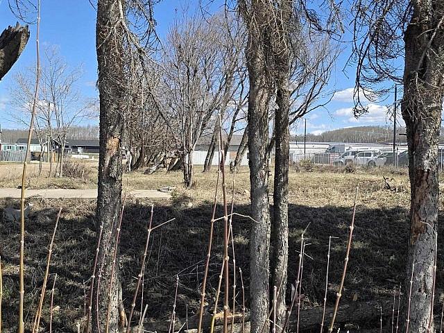 Land for sale in Cherry Grove, Alberta