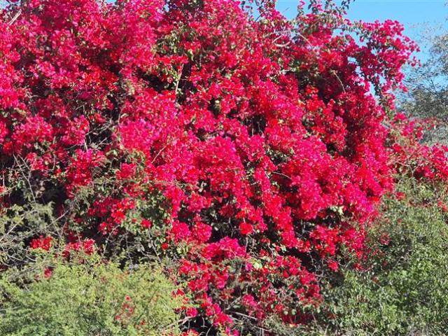 Farm for sale in Seshego, Limpopo