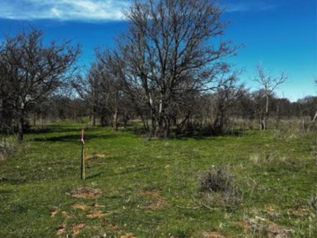 Land for sale in Bellevue, Clay County