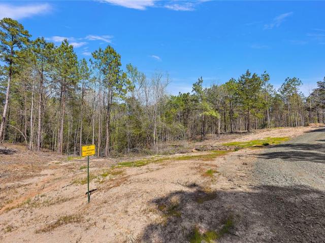 Land for sale in Timpson
