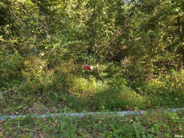 Land for sale in Illinois