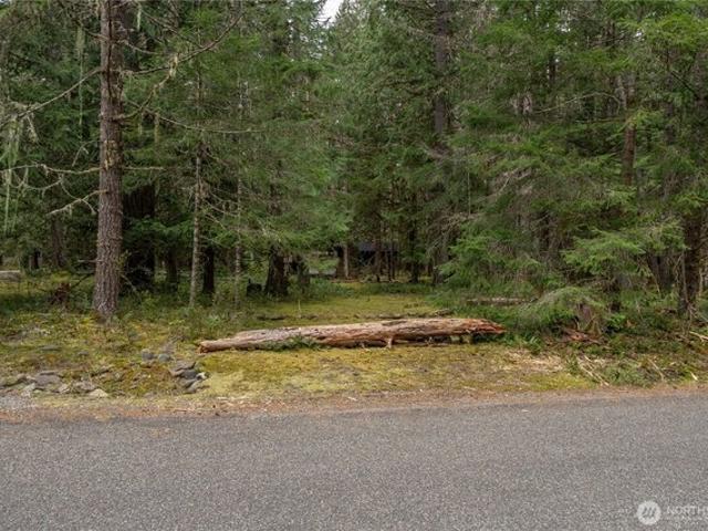 Land for sale in Ashford, Washington