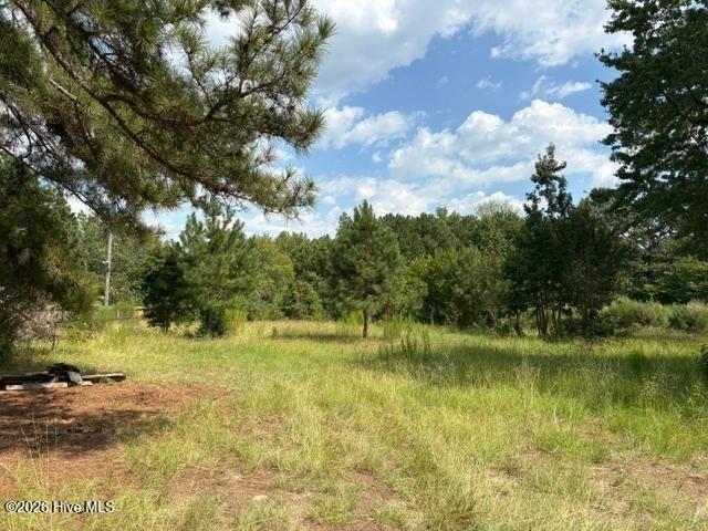 Land for sale in Whitakers, North Carolina